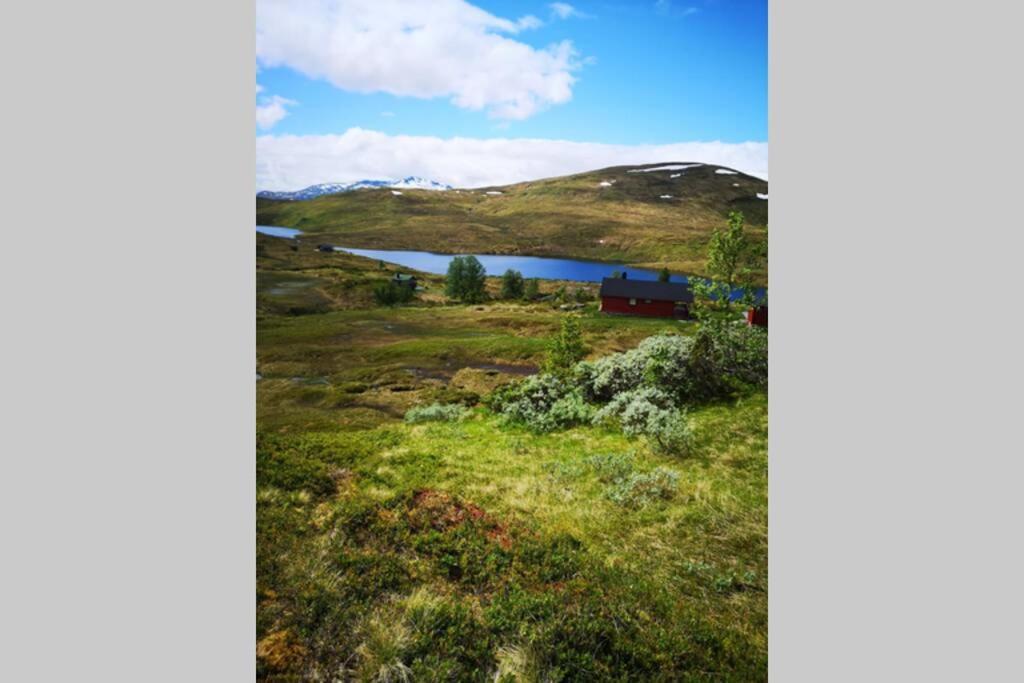 Casa Kleiv I Sogndalsdalen Villa Buitenkant foto